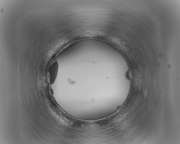 X0000076450683200610161312