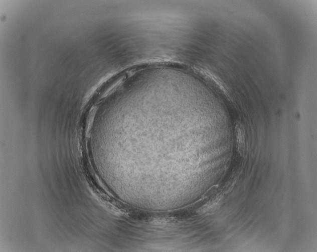 X0000076450684200610161312