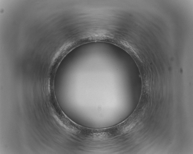 X0000076450686200610161312