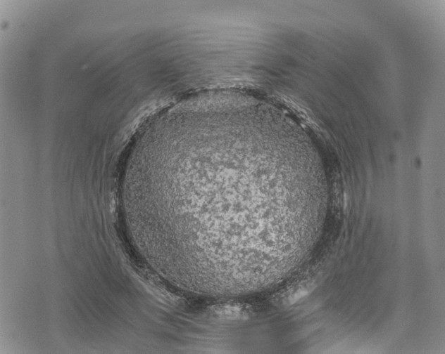 X0000076450687200610161312