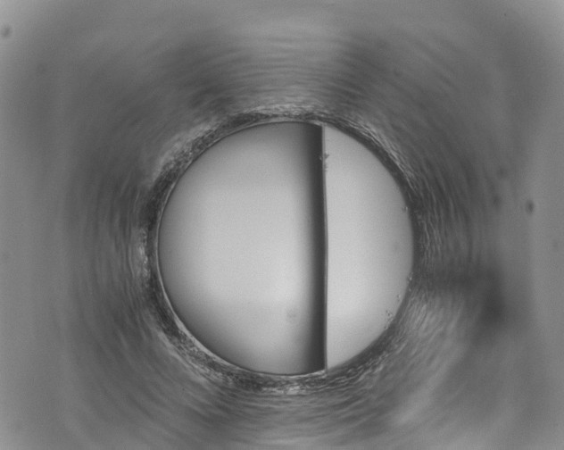 X0000076450688200610161312