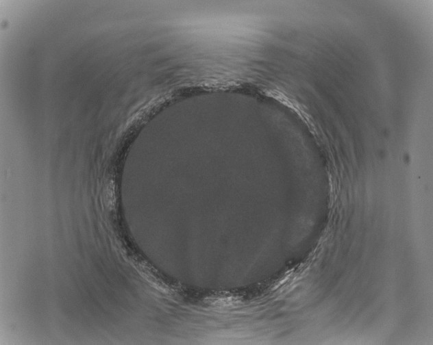 X0000076450689200610161312