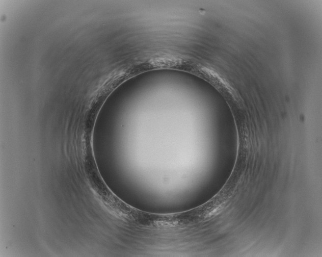 X0000076450690200610161312