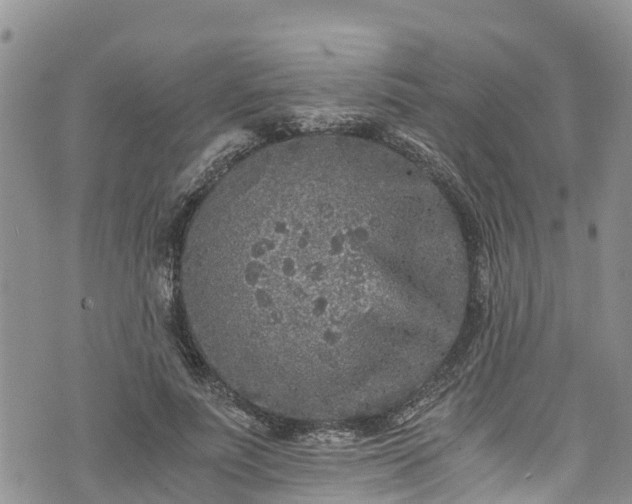 X0000076450691200610161312