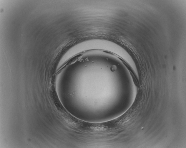 X0000076450693200610161312