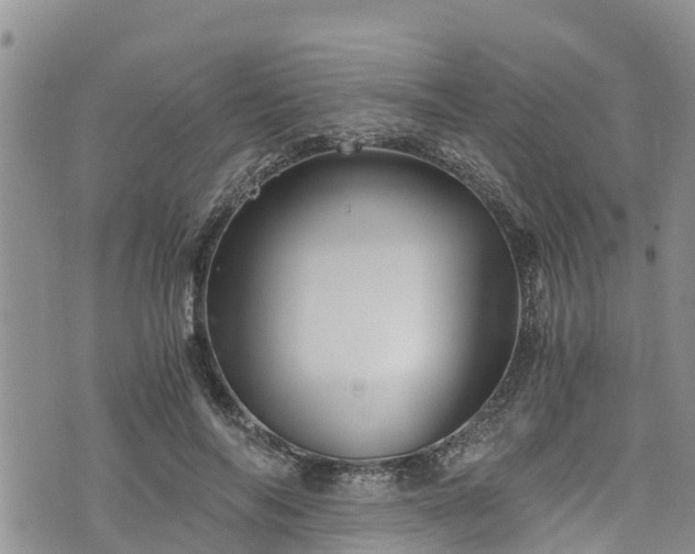 X0000076450694200610161312