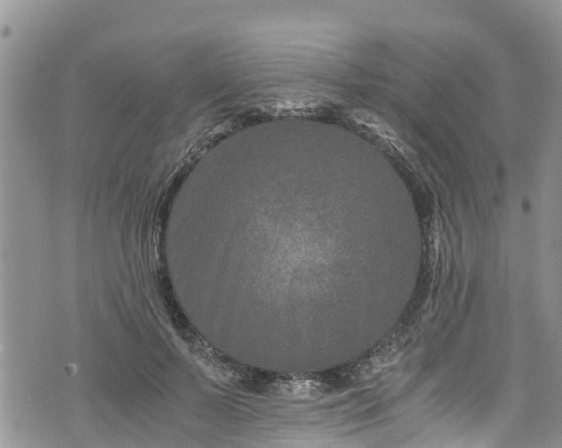 X0000076450695200610161312