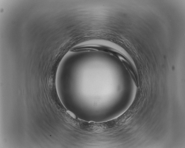 X0000076450697200610161312