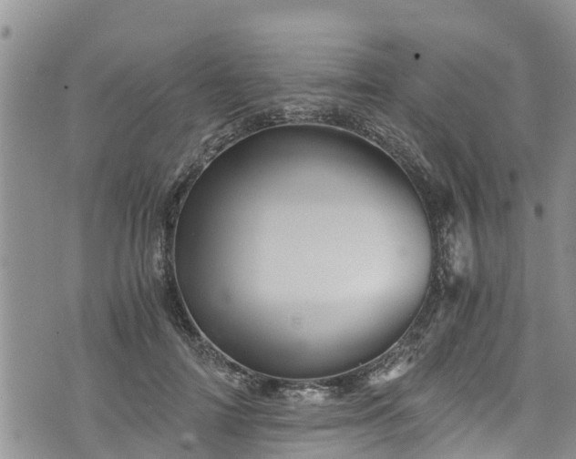 X0000076450698200610161312