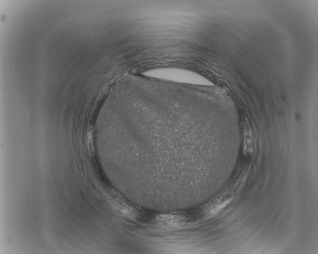 X0000076450699200610161312