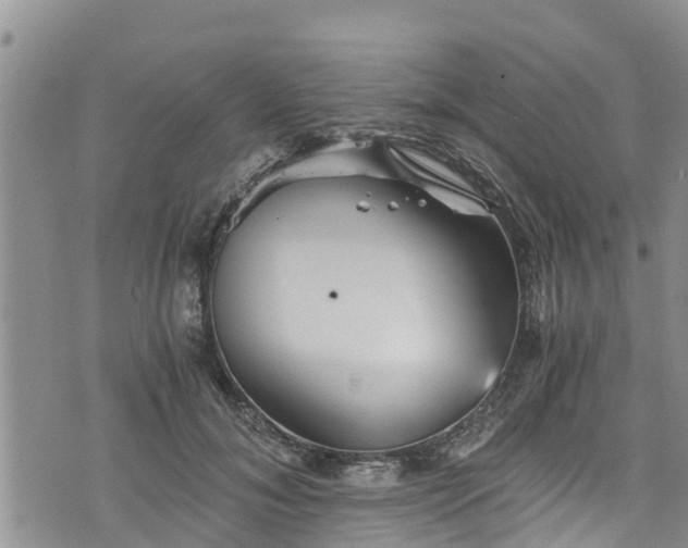 X0000076450700200610161312