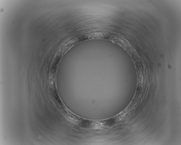 X0000076450701200610161312