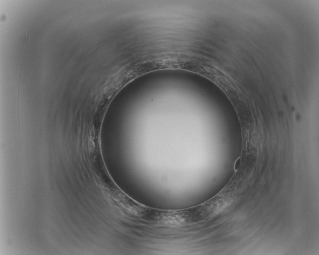 X0000076450702200610161312