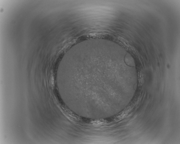 X0000076450703200610161312