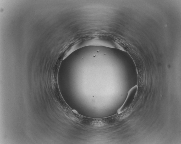 X0000076450704200610161312