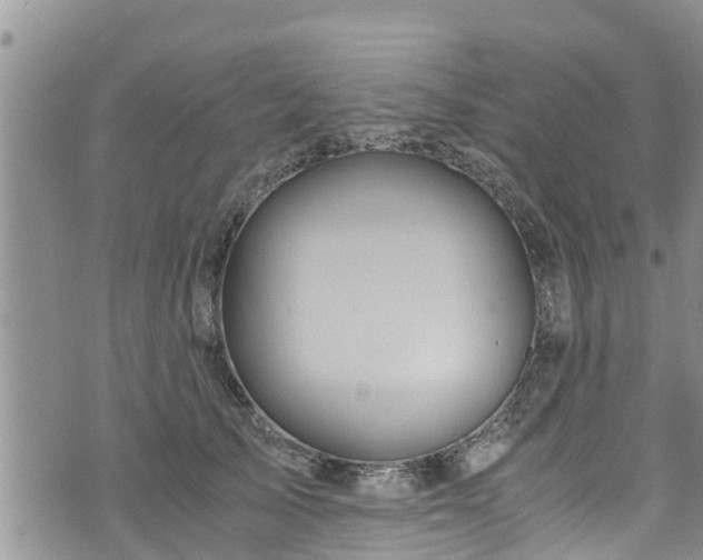 X0000076450705200610161312