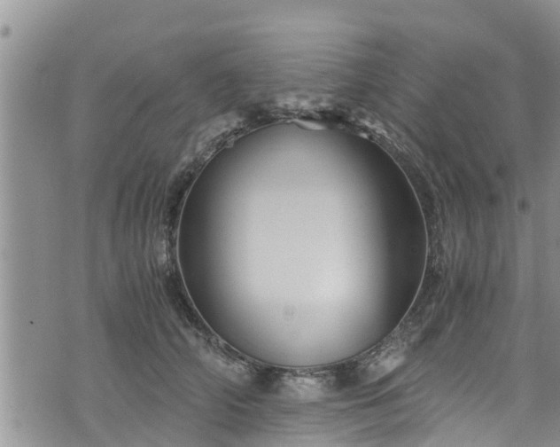 X0000076450706200610161312