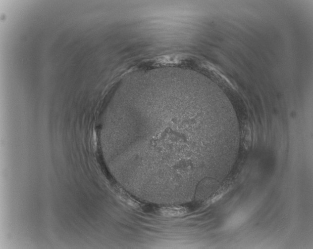 X0000076450707200610161312