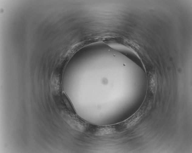 X0000076450708200610161312