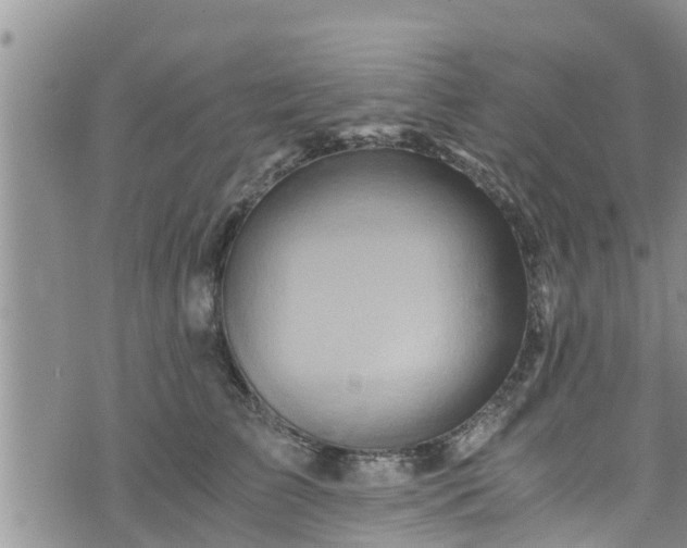 X0000076450709200610161312