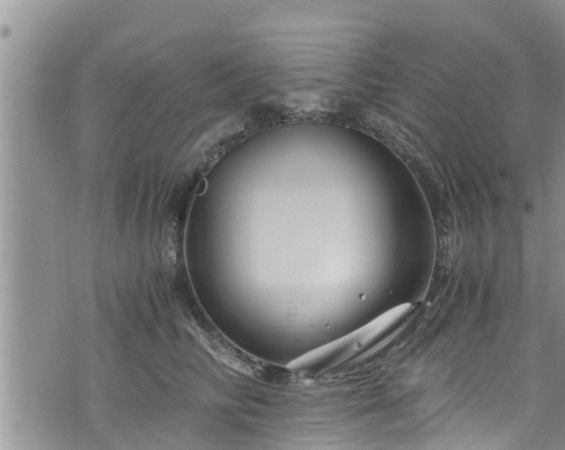 X0000076450710200610161312