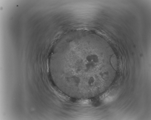 X0000076450711200610161312