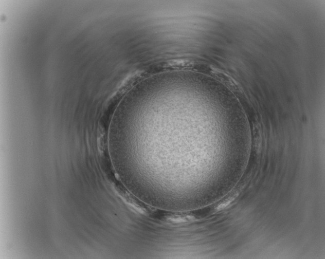 X0000076450712200610161311