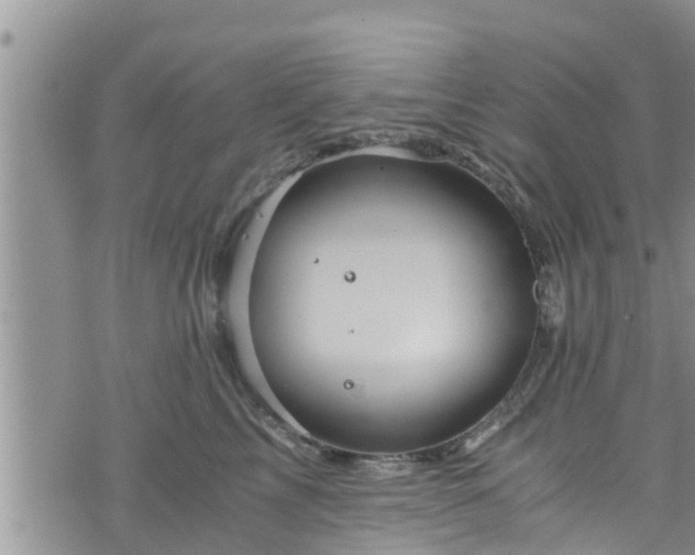 X0000076450713200610161311