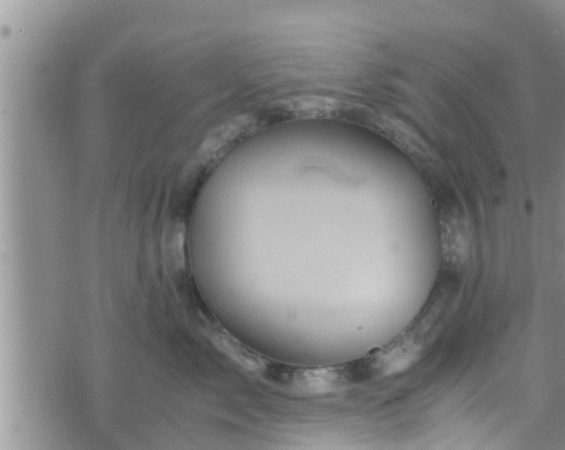 X0000076450717200610161311