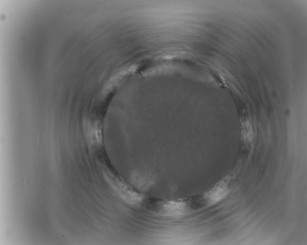 X0000076450718200610161311