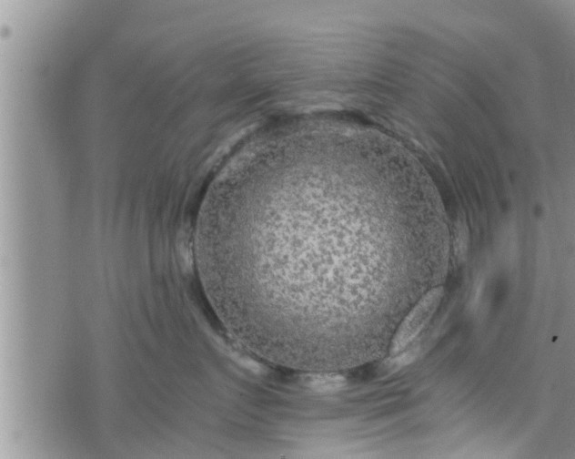 X0000076450719200610161311