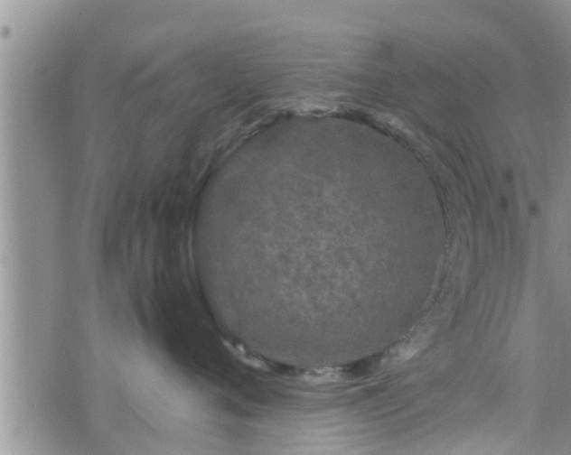 X0000076450720200610161311