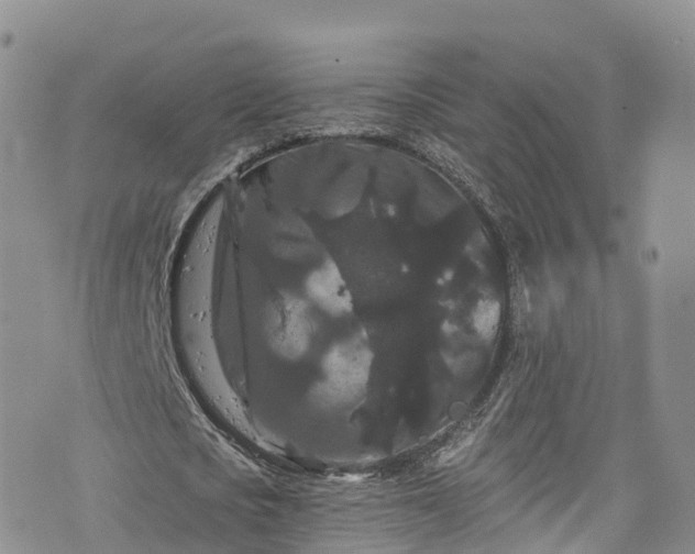 X0000076450721200610161311