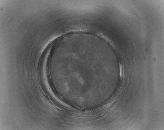 X0000076450723200610161311