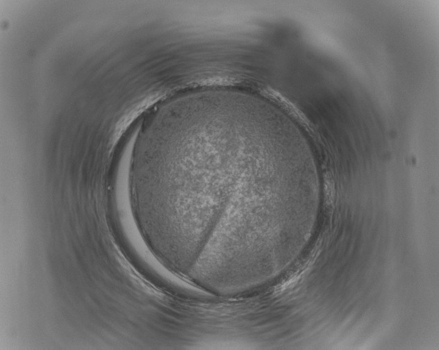 X0000076450725200610161311