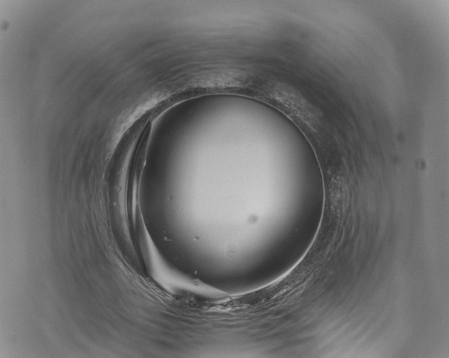 X0000076450727200610161311