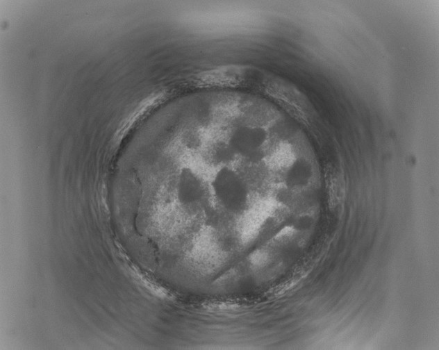 X0000076450729200610161311