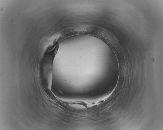 X0000076450731200610161311