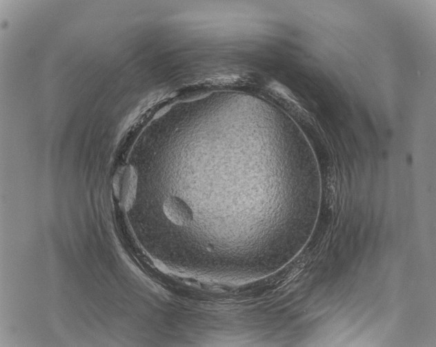 X0000076450734200610161311