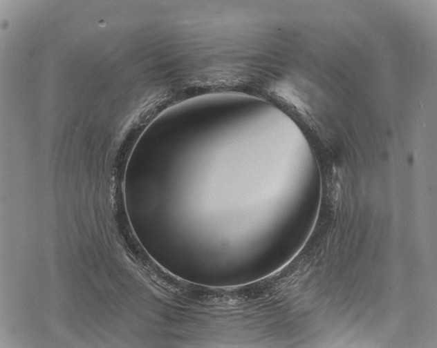 X0000076450735200610161311