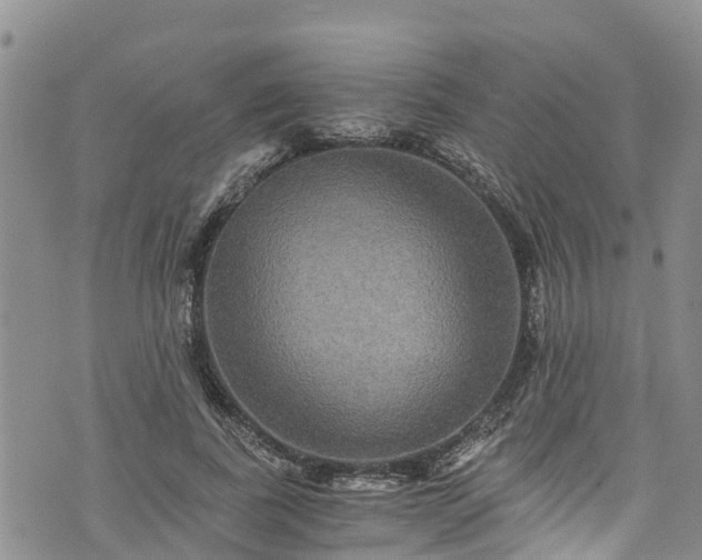 X0000076450739200610161311