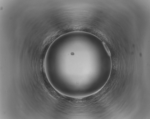 X0000076450740200610161311