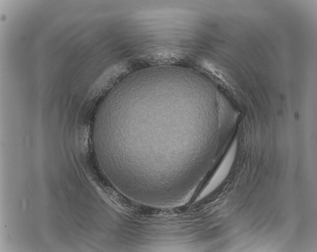 X0000076450742200610161311