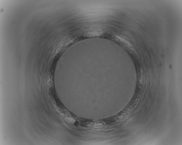 X0000076450743200610161311