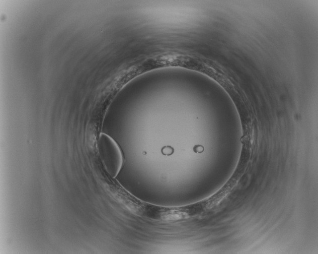 X0000076450754200610161311