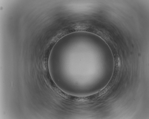 X0000076450755200610161311