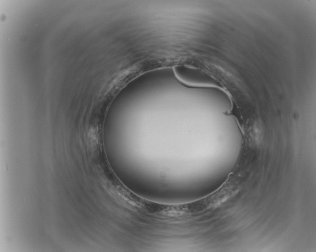 X0000076450756200610161311