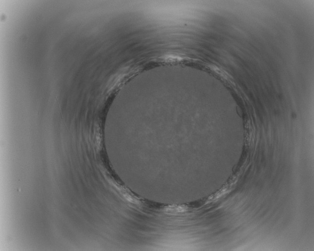 X0000076450762200610161311