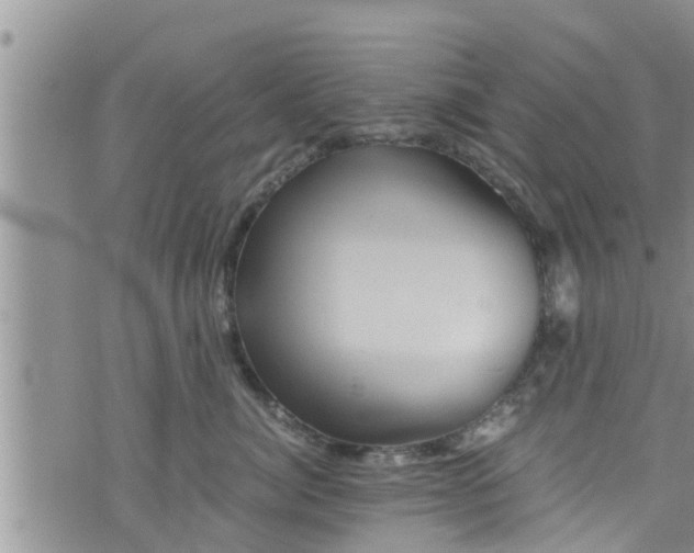 X0000076450764200610161311