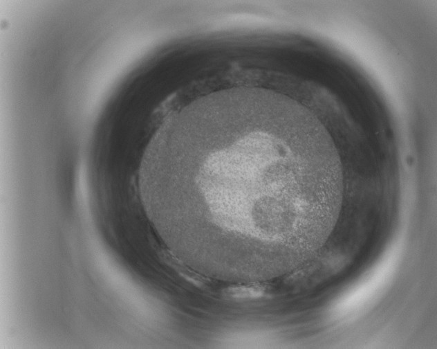 X0000076450765200610161311